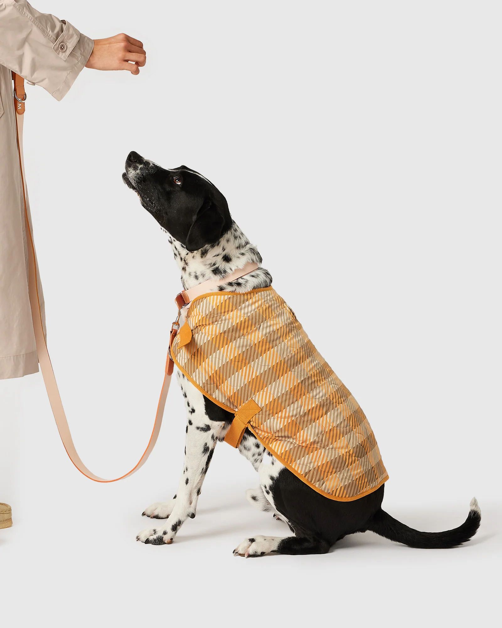 Pet Coat - Image 3